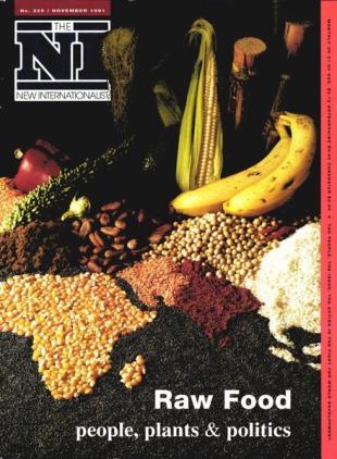 New Internationalist - November 1991