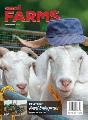 Small Farms - November 2019