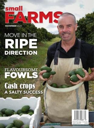 Small Farms - November 2020