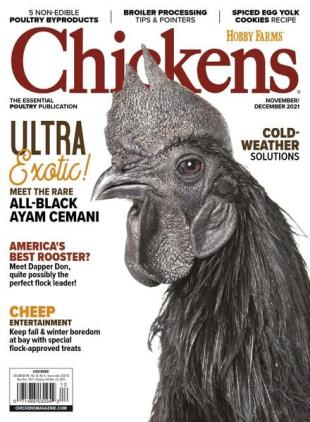 Chickens - November-December 2021