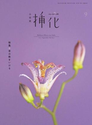 eBooks - 2021-08-01