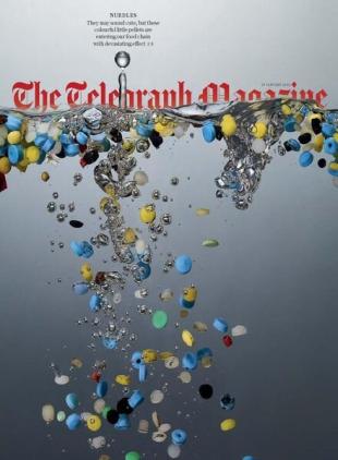 The Telegraph Magazine - 29 January 2022