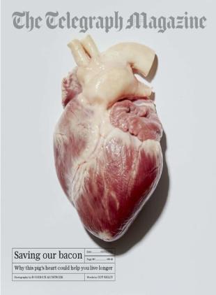 The Telegraph Magazine - 05 March 2022