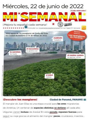 Mi Semanal - junio 2022