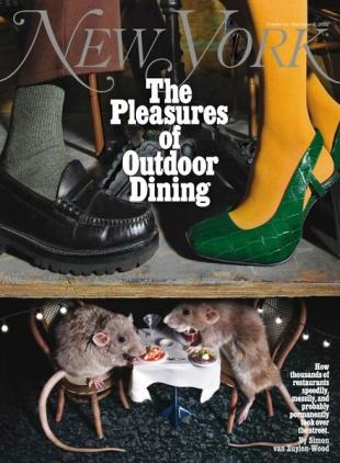 New York Magazine - October 24 2022