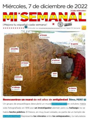 Mi Semanal - 08 diciembre 2022