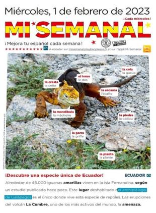 Mi Semanal - 02 febrero 2023