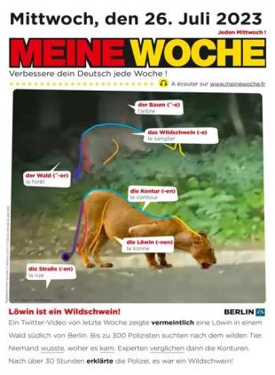Meine Woche - 26 Juli 2023