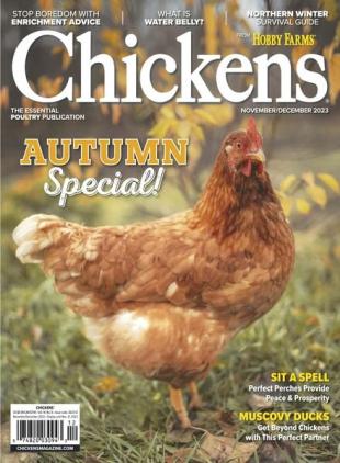 Chickens - November-December 2023