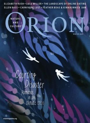 Orion - Winter 2023