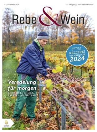 Rebe & Wein - Dezember 2024
